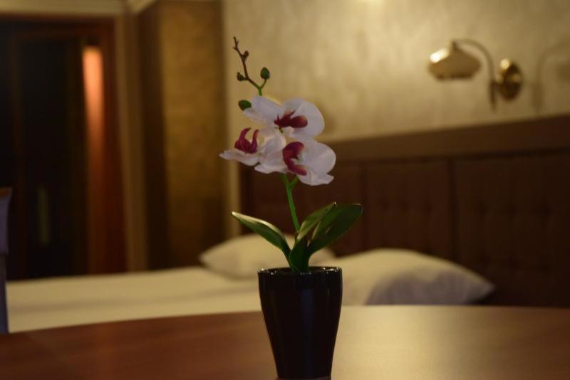 Hotel Elit Pernik Kültér fotó